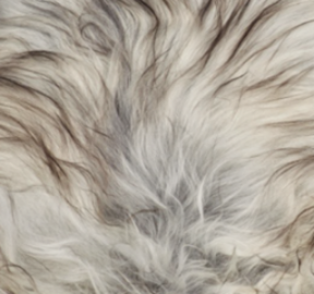 Theo Bench | Icelandic Sheepskin | Oak Legs Natural Grey