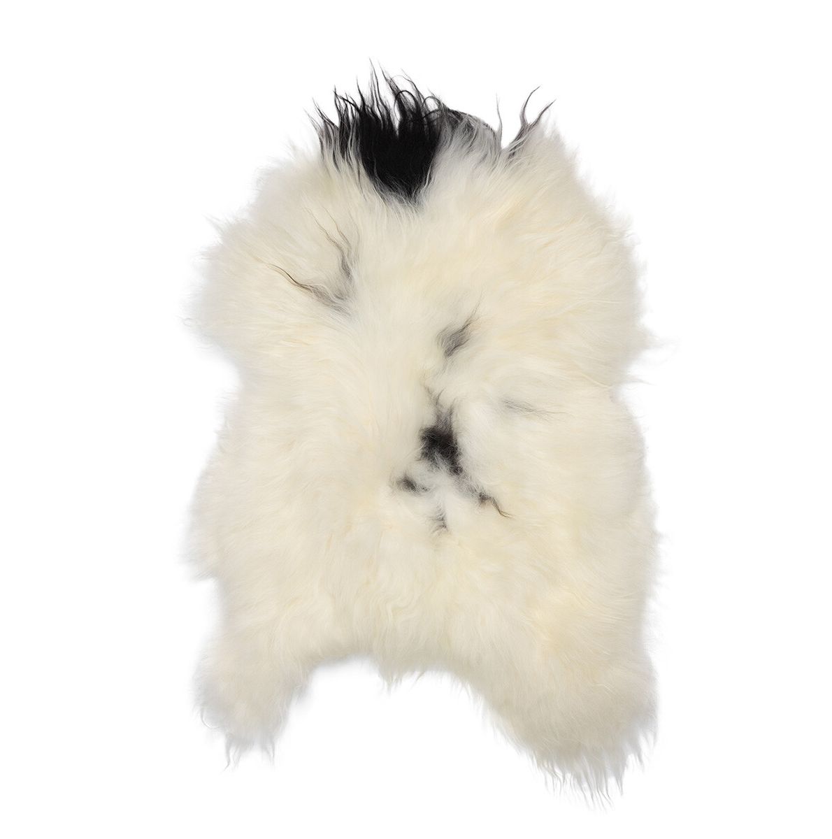 Icelandic Sheepskin | Long Wool | 120+ cm Spotted