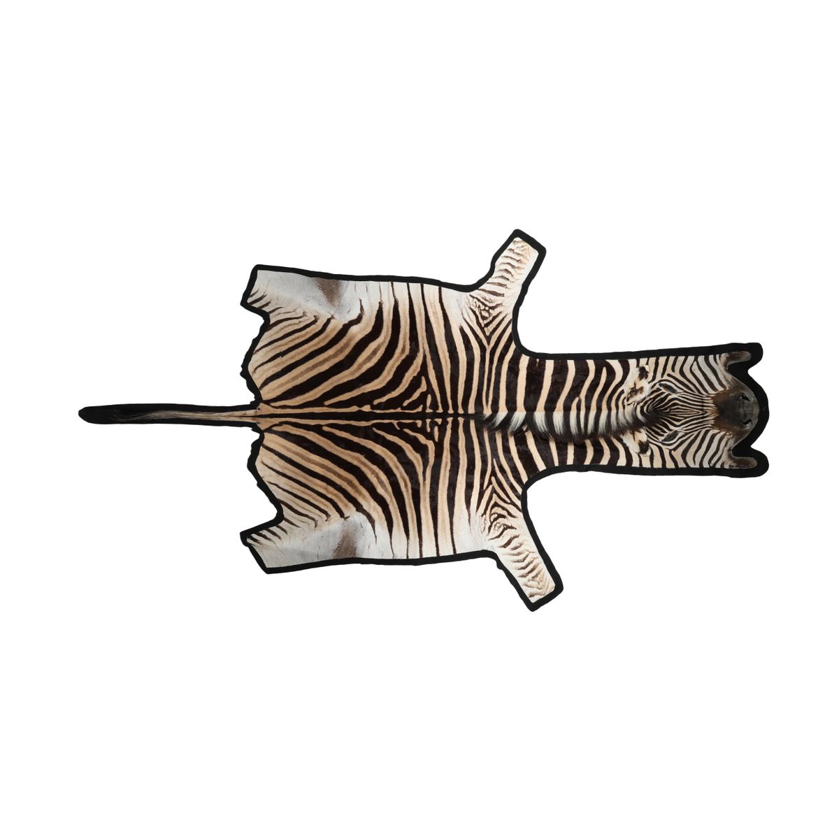 Zebra Hide | Premium Quality | South Africa | Felt Backing