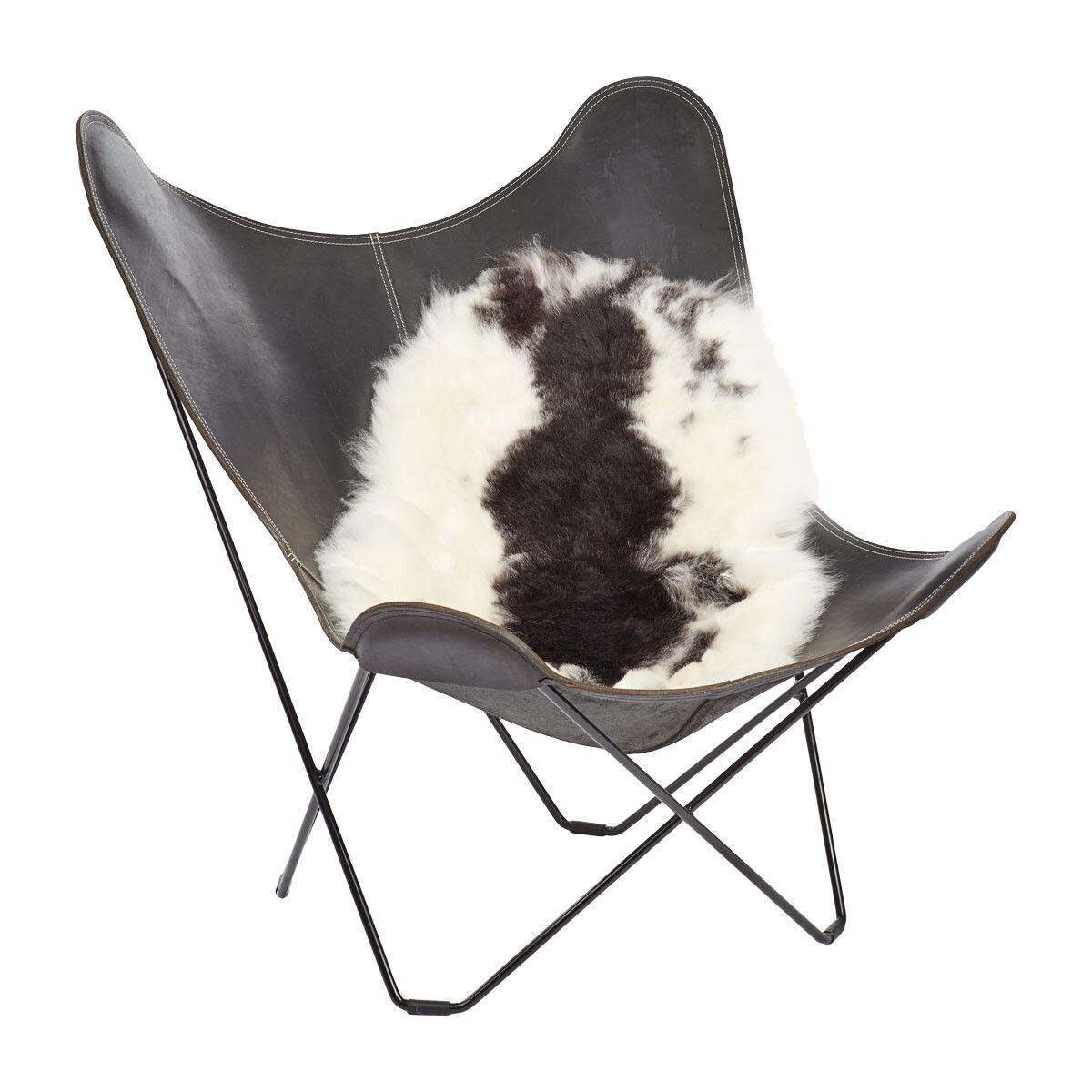 Icelandic Sheepskin | Short Wool | 90-100 cm Spotted