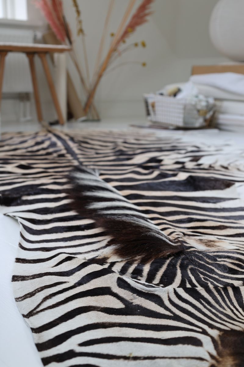 Zebra Hide | Premium Quality | South Africa Zebra