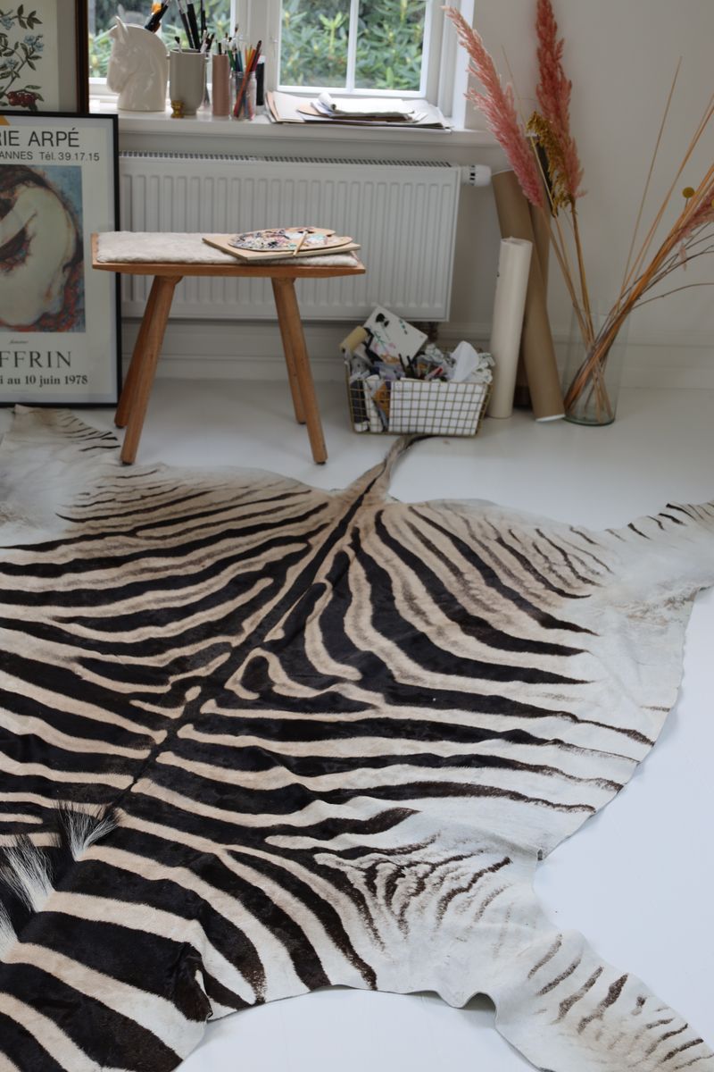 Zebra Hide | Premium Quality | South Africa Zebra