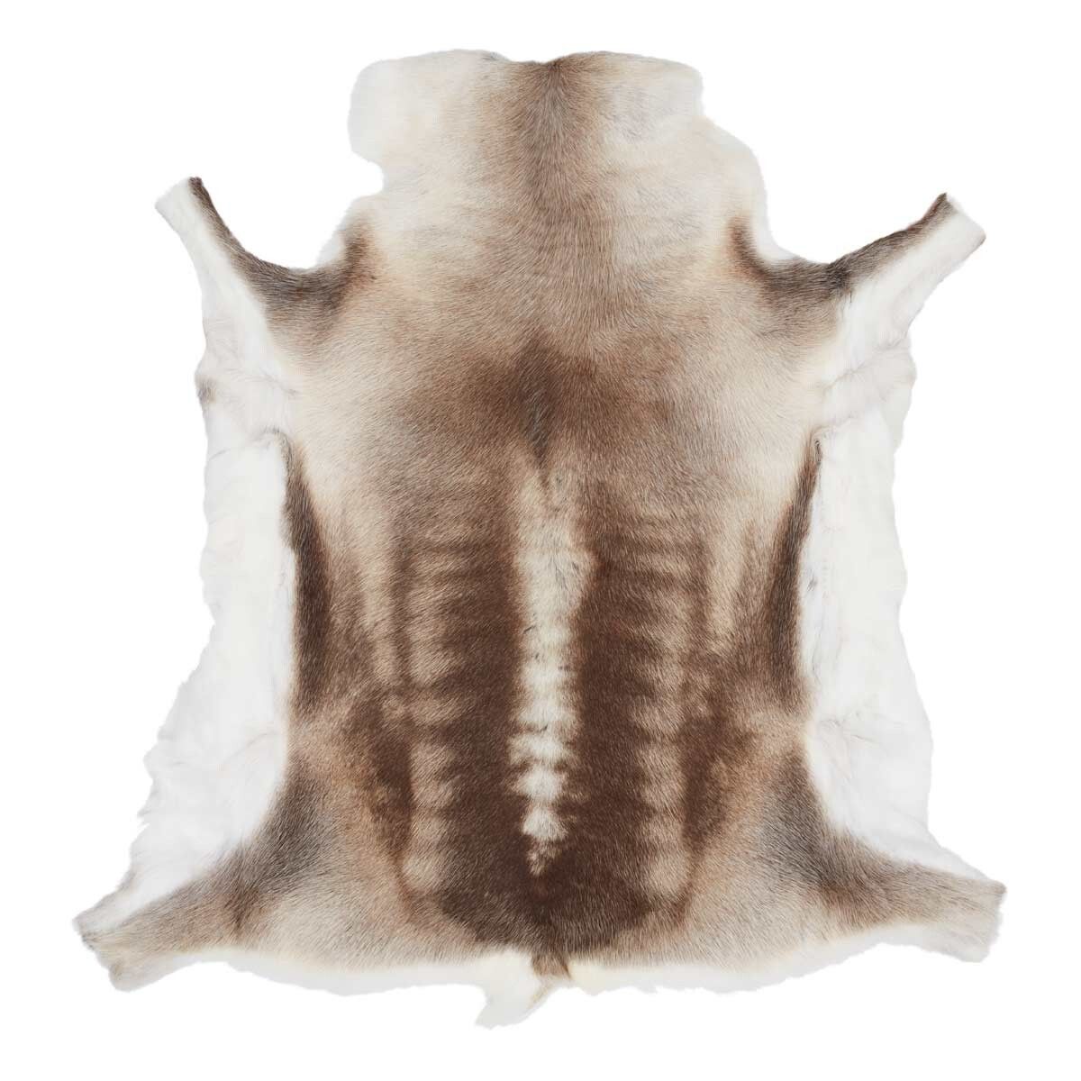 Reindeer Hide | 70x110cm