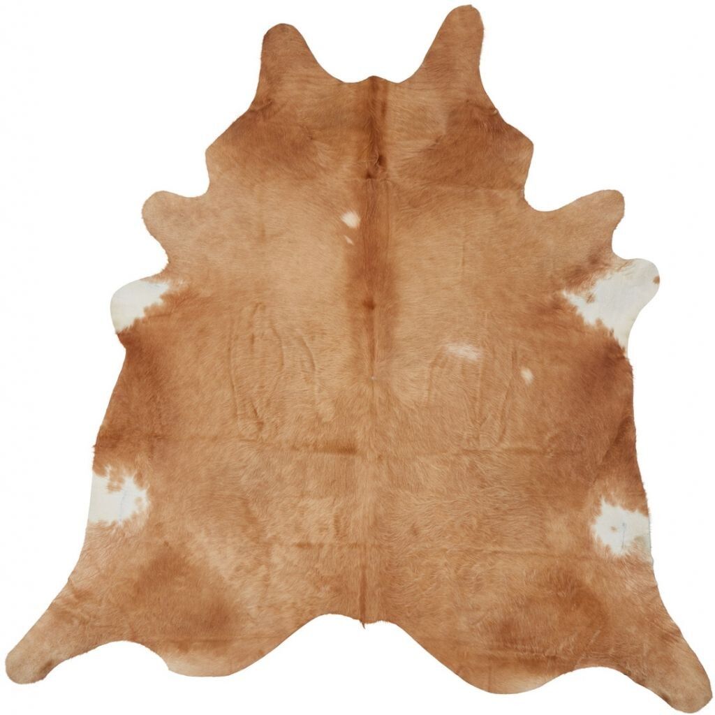 Cow Hide Rug