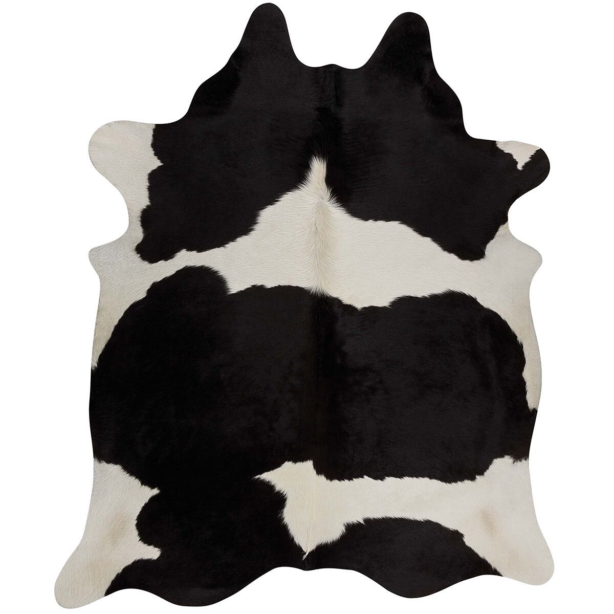 Premium Natural Cowhides – Unique, Stylish, and Sustainable. XXL Size from Brazil