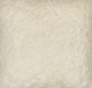 Short Wool Curly Sheepskin Shell Design Rug | 210x150 cm Ivory