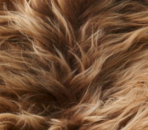 Theo Bench | Icelandic Sheepskin | Oak Legs Rusty Brown